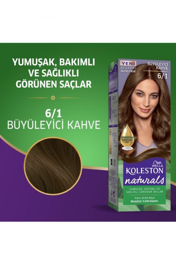 Naturals Saç Boyası Büyüleyici Kahve 6/1 2x Paket