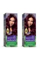 Naturals Saç Boyası Kızıl Kestane 3/66 2x Paket